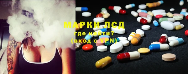 spice Гусев