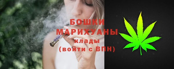 spice Гусев