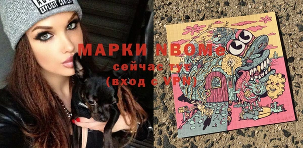 spice Гусев