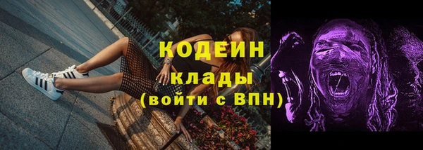 spice Гусев