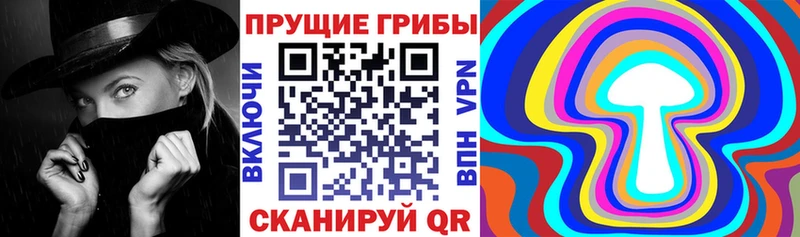 Купить закладки  Бакал  Галлюциногенные грибы Psilocybe 